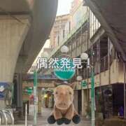 りか 🐴偶然発見！ チューリップ土浦店