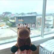 りか 🐴今日が最終日 チューリップ土浦店