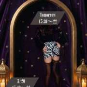 ヒメ日記 2026/03/07 23:32 投稿 心操緑　女王様 Seirenes (セイレネス)