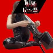心操緑　女王様 今日も好きな服(ボンテージ)で Seirenes (セイレネス)