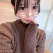 ヒメ日記 2026/01/30 02:29 投稿 ゆうき TSUBAKI(ツバキ)松山店