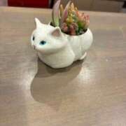 ヒメ日記 2026/03/19 21:37 投稿 ゆうき TSUBAKI(ツバキ)松山店