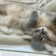 ヒメ日記 2025/06/12 16:59 投稿 渚 ゆり 熟女・人妻マダム宮殿