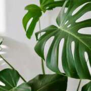 ヒメ日記 2025/06/14 10:06 投稿 渚 ゆり 熟女・人妻マダム宮殿