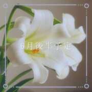 ヒメ日記 2025/06/19 09:59 投稿 渚 ゆり 熟女・人妻マダム宮殿