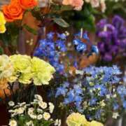 ヒメ日記 2025/07/01 12:09 投稿 渚 ゆり 熟女・人妻マダム宮殿