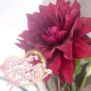 ヒメ日記 2025/07/03 17:17 投稿 渚 ゆり 熟女・人妻マダム宮殿