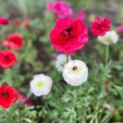 ヒメ日記 2025/07/07 07:00 投稿 渚 ゆり 熟女・人妻マダム宮殿