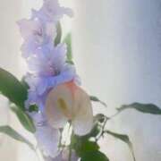 ヒメ日記 2025/07/09 07:00 投稿 渚 ゆり 熟女・人妻マダム宮殿