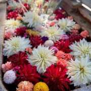 ヒメ日記 2025/07/10 06:00 投稿 渚 ゆり 熟女・人妻マダム宮殿