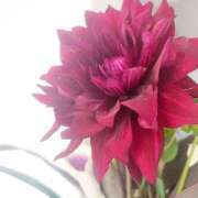 ヒメ日記 2025/07/11 08:11 投稿 渚 ゆり 熟女・人妻マダム宮殿