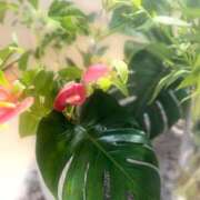 ヒメ日記 2025/07/16 07:00 投稿 渚 ゆり 熟女・人妻マダム宮殿