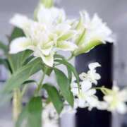 ヒメ日記 2025/07/17 15:55 投稿 渚 ゆり 熟女・人妻マダム宮殿