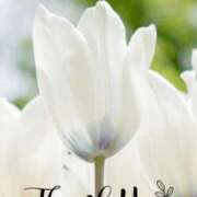 ヒメ日記 2025/08/11 18:28 投稿 渚 ゆり 熟女・人妻マダム宮殿