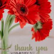 ヒメ日記 2025/08/11 18:51 投稿 渚 ゆり 熟女・人妻マダム宮殿