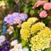 ヒメ日記 2025/09/02 15:35 投稿 渚 ゆり 熟女・人妻マダム宮殿