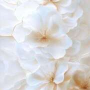 ヒメ日記 2025/09/27 09:19 投稿 渚 ゆり 熟女・人妻マダム宮殿