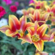 ヒメ日記 2025/10/18 10:25 投稿 渚 ゆり 熟女・人妻マダム宮殿