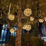 ヒメ日記 2025/11/13 08:28 投稿 渚 ゆり 熟女・人妻マダム宮殿