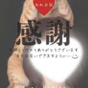 ヒメ日記 2026/01/15 16:38 投稿 渚 ゆり 熟女・人妻マダム宮殿
