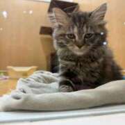 ヒメ日記 2026/03/13 17:43 投稿 渚 ゆり 熟女・人妻マダム宮殿