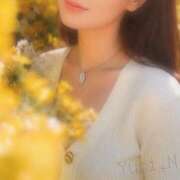 ヒメ日記 2026/03/17 14:39 投稿 渚 ゆり 熟女・人妻マダム宮殿