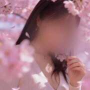 ヒメ日記 2026/03/17 23:16 投稿 渚 ゆり 熟女・人妻マダム宮殿