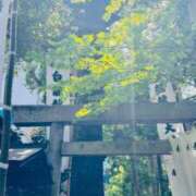 ヒメ日記 2026/04/11 13:23 投稿 渚 ゆり 熟女・人妻マダム宮殿