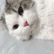 ヒメ日記 2025/04/30 18:09 投稿 夜波まな アロマギルド厚木店