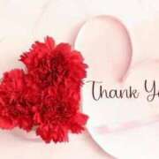 ヒメ日記 2025/07/06 11:06 投稿 ななか DIVA-ディーバ-【DIVAグループ】