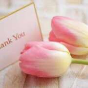 ヒメ日記 2025/12/19 10:14 投稿 ななか DIVA-ディーバ-【DIVAグループ】