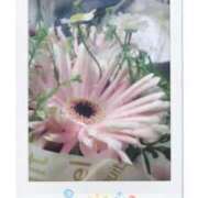 ヒメ日記 2025/11/19 09:44 投稿 音成 奈々美 30代40代50代と遊ぶなら博多人妻専科24時