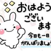 ヒメ日記 2026/06/15 09:25 投稿 音成 奈々美 30代40代50代と遊ぶなら博多人妻専科24時