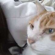 ゆま 先ほどは、ありがとうございました。 熟女の風俗最終章 宇都宮店