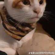 ゆま 先ほどは、ありがとうございました。 熟女の風俗最終章 宇都宮店