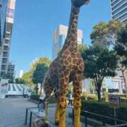 ヒメ日記 2025/09/17 20:56 投稿 姫柊 ひなの 横浜ダンディー