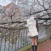 ヒメ日記 2026/03/08 14:06 投稿 姫柊 ひなの 横浜ダンディー