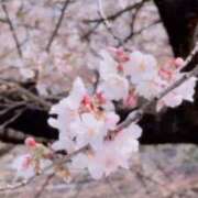 ヒメ日記 2026/03/29 13:13 投稿 じゅんこ いざ候 本館