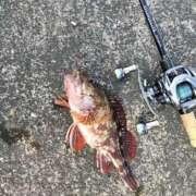 ヒメ日記 2025/08/03 09:21 投稿 (コスパ)川嶋きこ 風俗イキタイいわき店