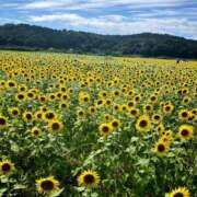 ヒメ日記 2025/08/16 07:26 投稿 みなみ 美人百華　宇都宮