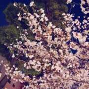 ヒメ日記 2026/04/02 22:32 投稿 貴子 大阪痴女性感フェチ倶楽部