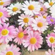 ヒメ日記 2026/07/31 14:53 投稿 もも CLUB DEEP 博多