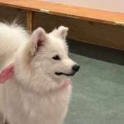 ヒメ日記 2025/05/09 22:08 投稿 まりあ 白いぽっちゃりさん仙台店