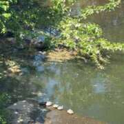 ヒメ日記 2025/05/24 07:18 投稿 まりあ 白いぽっちゃりさん仙台店