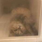 ヒメ日記 2025/08/03 13:14 投稿 まりあ 白いぽっちゃりさん仙台店