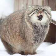 ヒメ日記 2025/09/24 09:38 投稿 まりあ 白いぽっちゃりさん仙台店