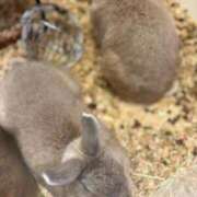 ヒメ日記 2025/09/27 21:48 投稿 まりあ 白いぽっちゃりさん仙台店