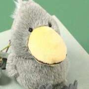 ヒメ日記 2025/09/30 19:38 投稿 まりあ 白いぽっちゃりさん仙台店