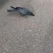 ヒメ日記 2025/10/03 14:08 投稿 まりあ 白いぽっちゃりさん仙台店