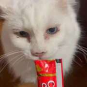 ヒメ日記 2025/10/11 00:28 投稿 まりあ 白いぽっちゃりさん仙台店